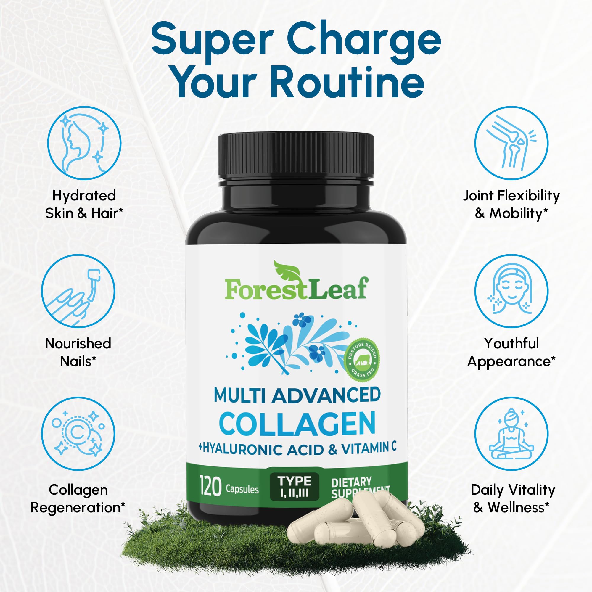 ForestLeaf capsules in hand show easy-to-swallow daily intake