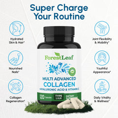 ForestLeaf capsules in hand show easy-to-swallow daily intake