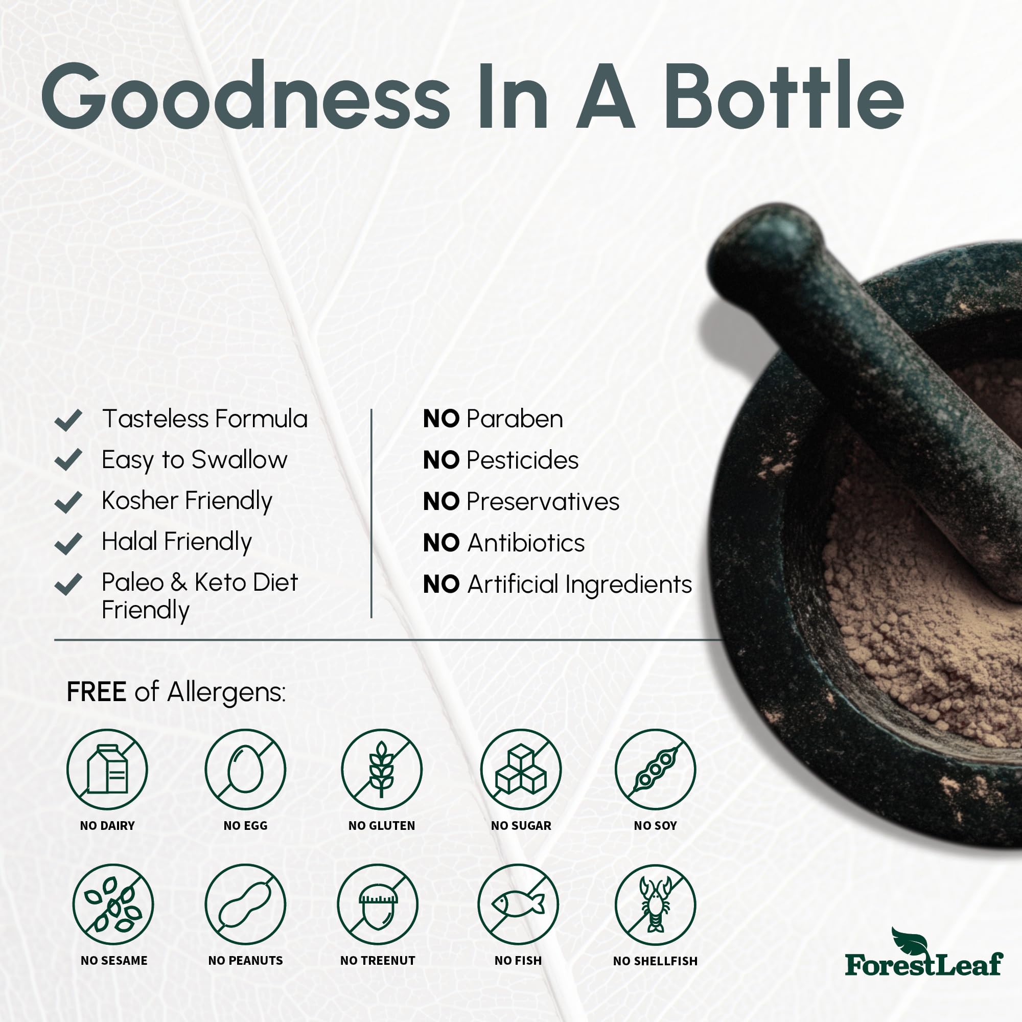 ForestLeaf magnesium delivery illustration for brain and body throughout day