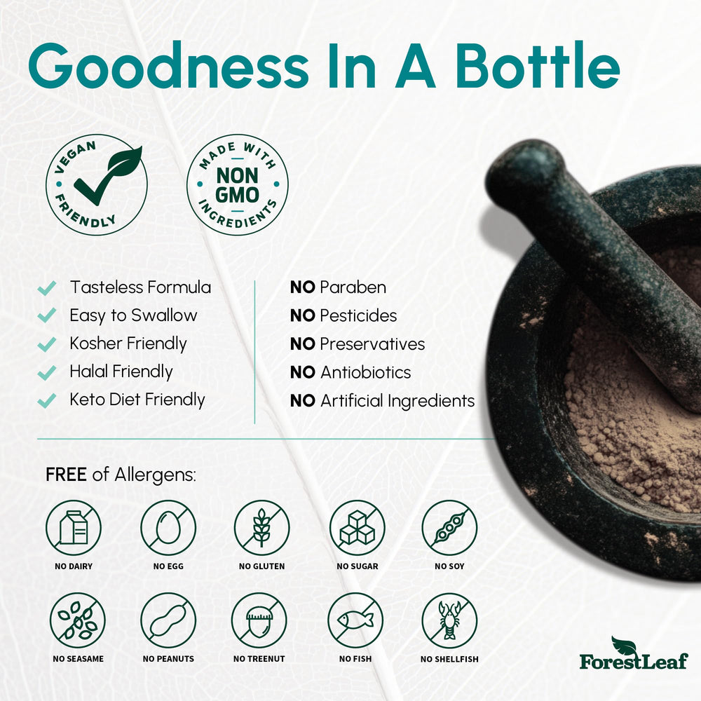 ForestLeaf B2 supplement packaging ready for daily routine