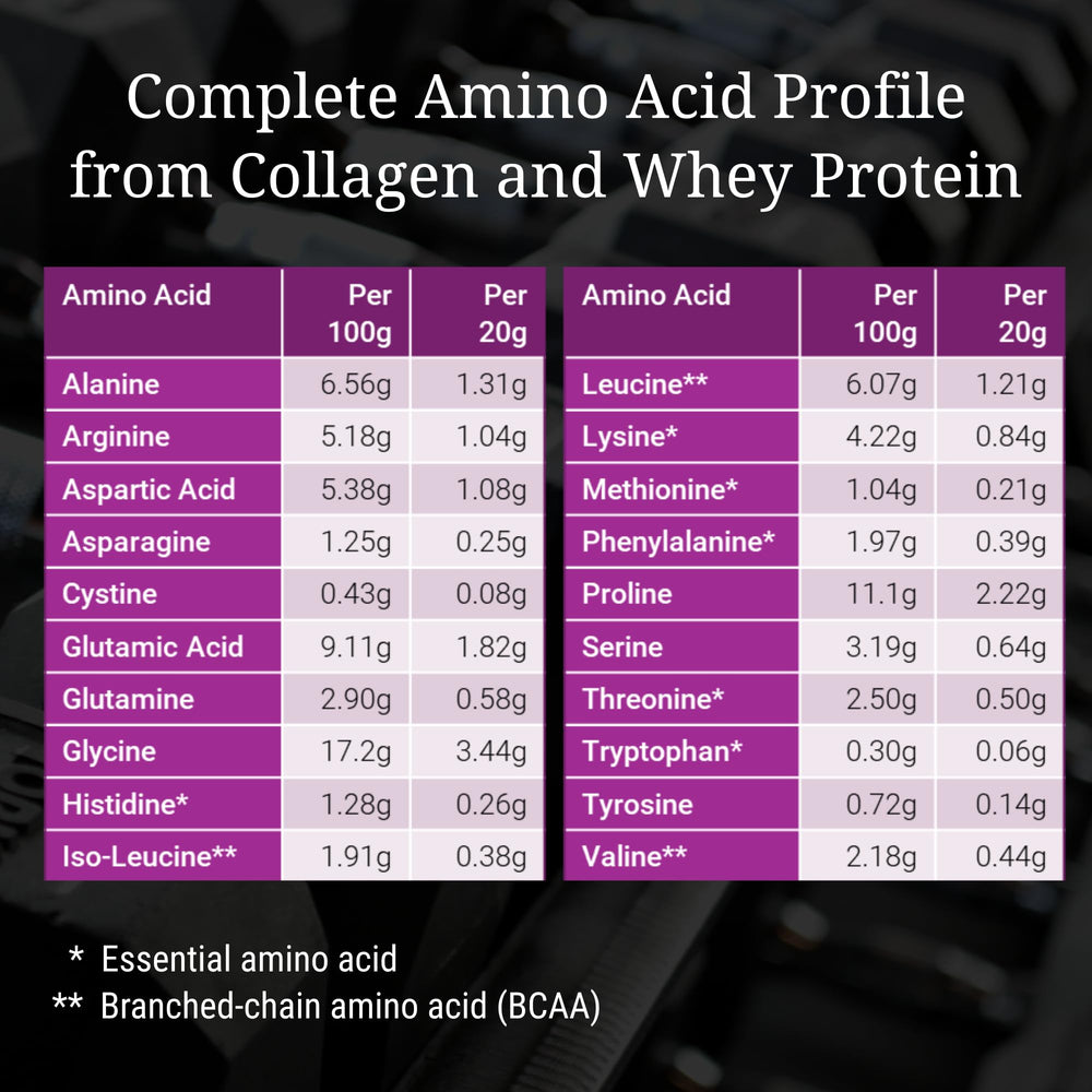 FORTABELLE Protein Powder for Women ingredients label highlights collagen and micronutrients.