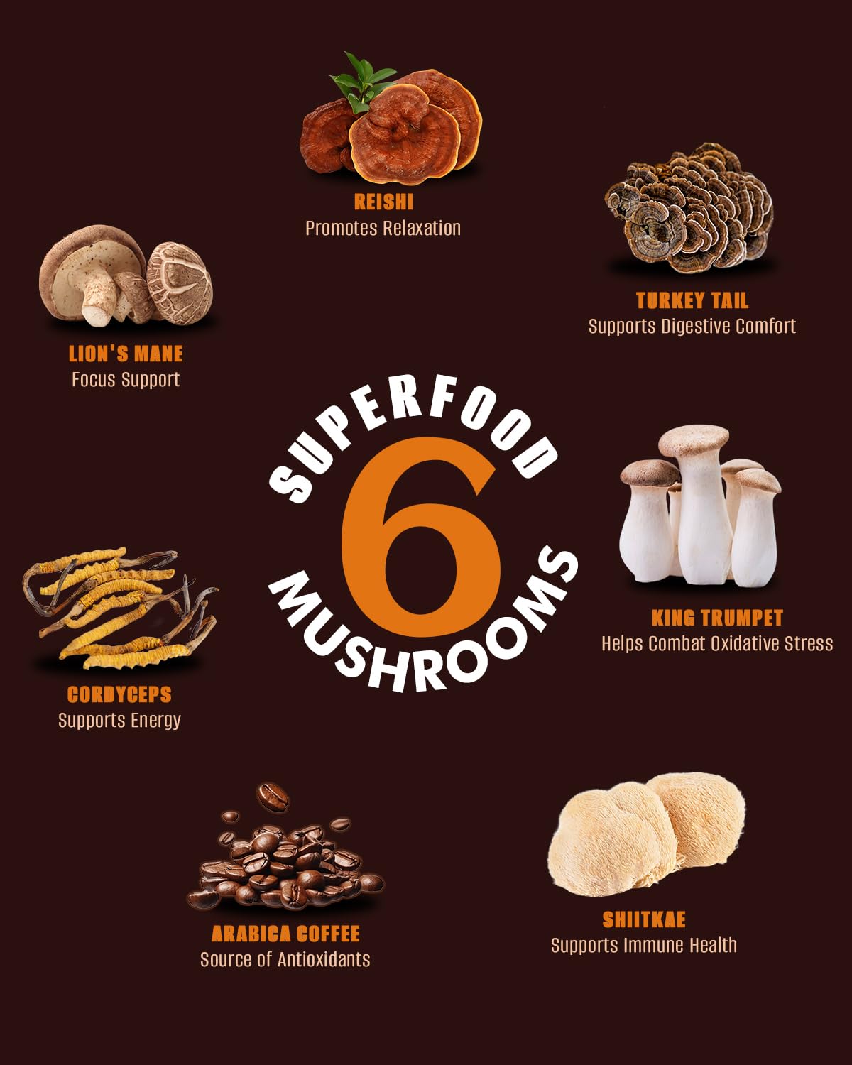 FORTISCA Mushroom Coffee hot water pour, quick comforting aroma.