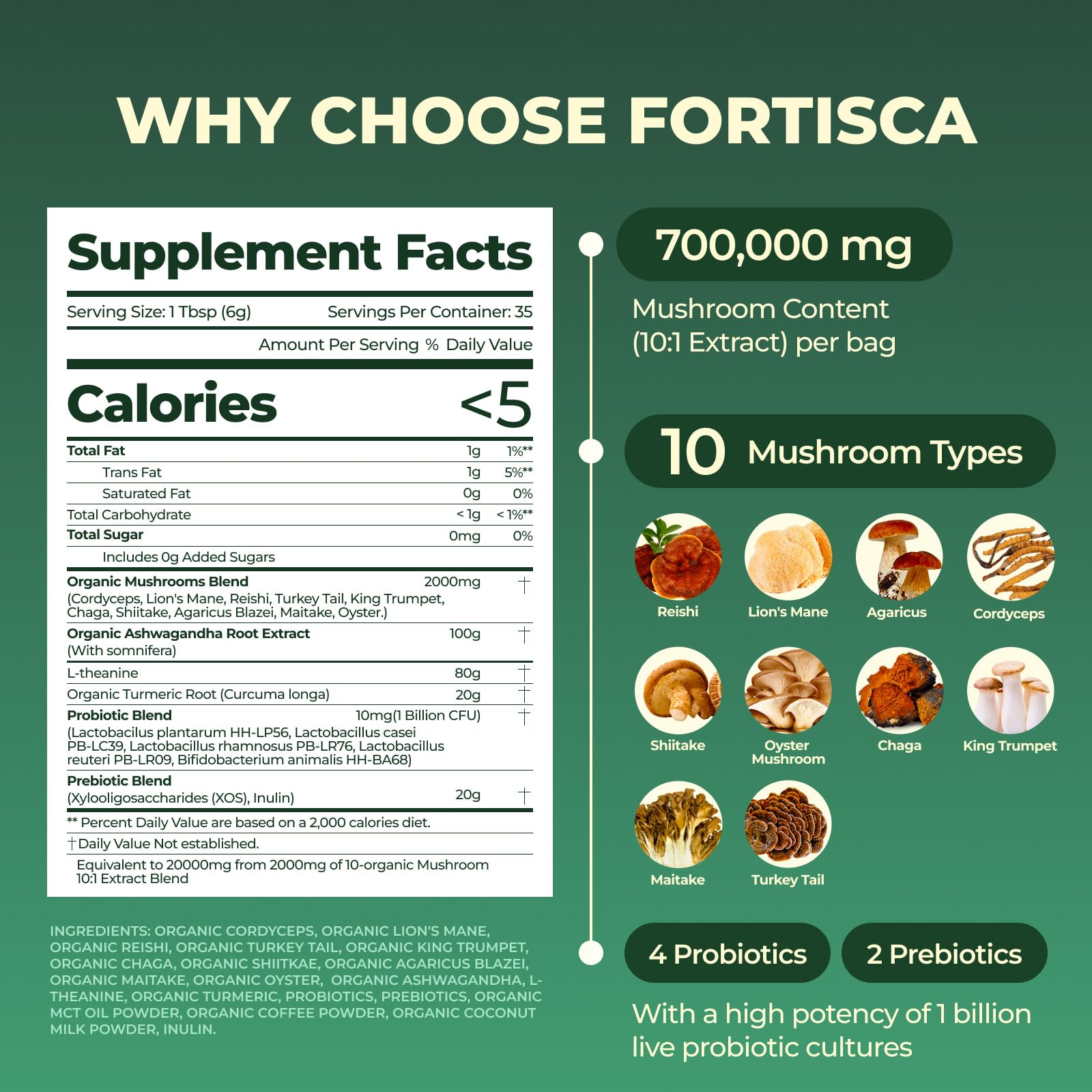 Close-up of the ten-mushroom blend in Fortisca formula.