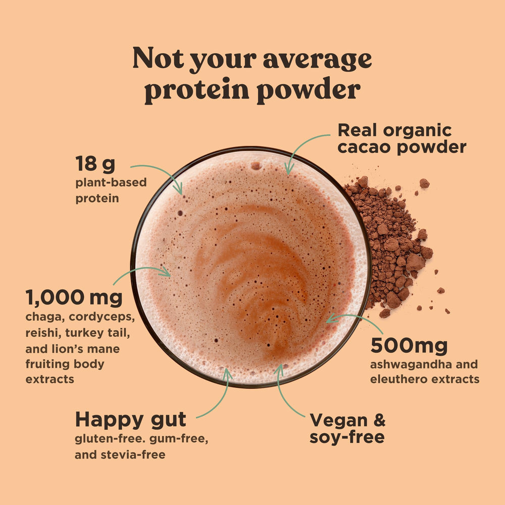 Four Sigmatic plant protein scoop emphasizing vegan protein sources
