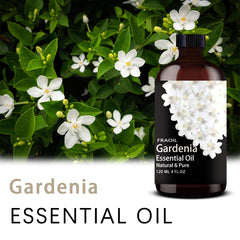 FRAOIL Gardenia essential oil with glass dropper for precise dosing.
