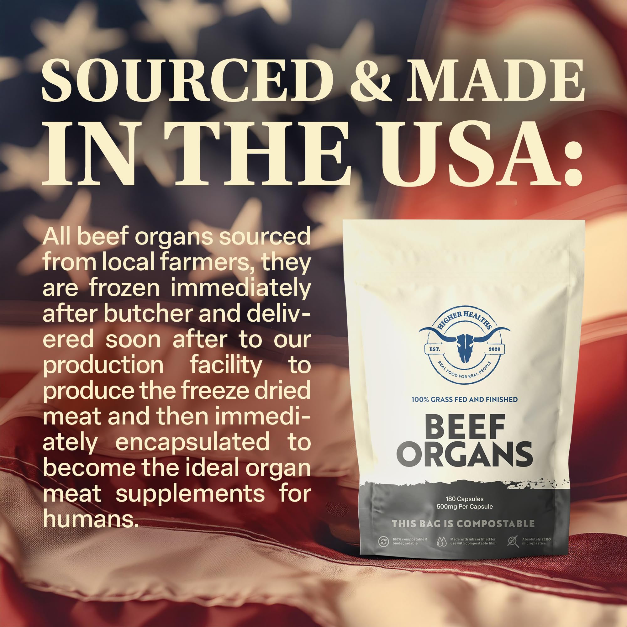 Freeze-dried beef organs texture before encapsulation shown in photo