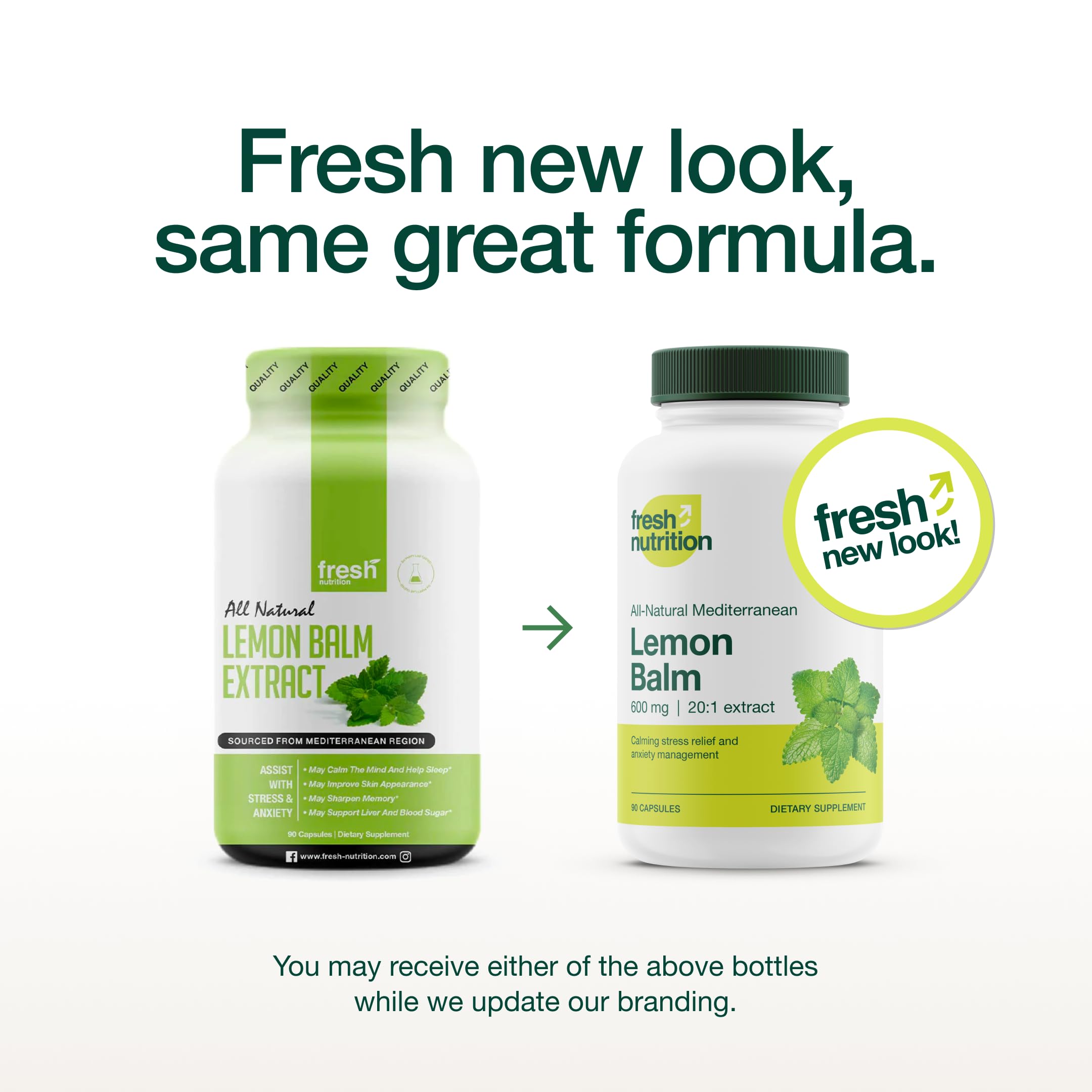 Close-up of Fresh Nutrition Lemon Balm Extract capsules