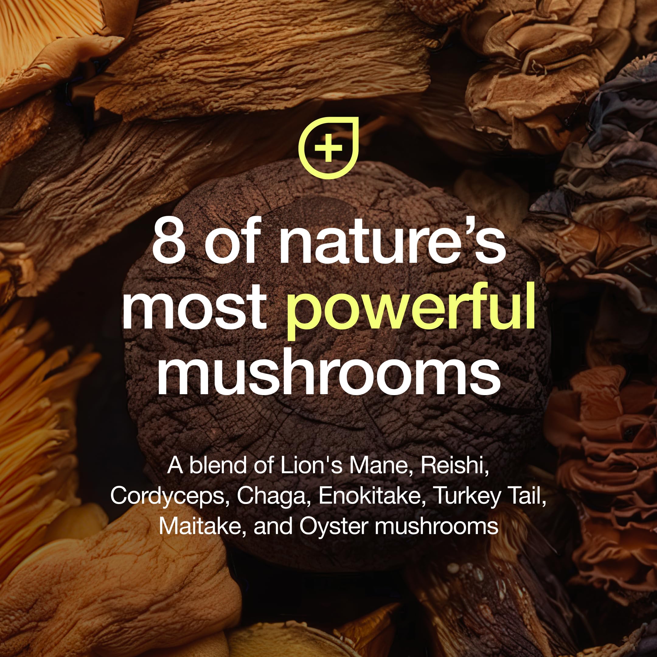 Fresh Nutrition Organic 8 Mushroom Complex Chaga - antioxidant-rich option for daily wellness routines.