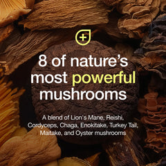 Fresh Nutrition Organic 8 Mushroom Complex Chaga - antioxidant-rich option for daily wellness routines.