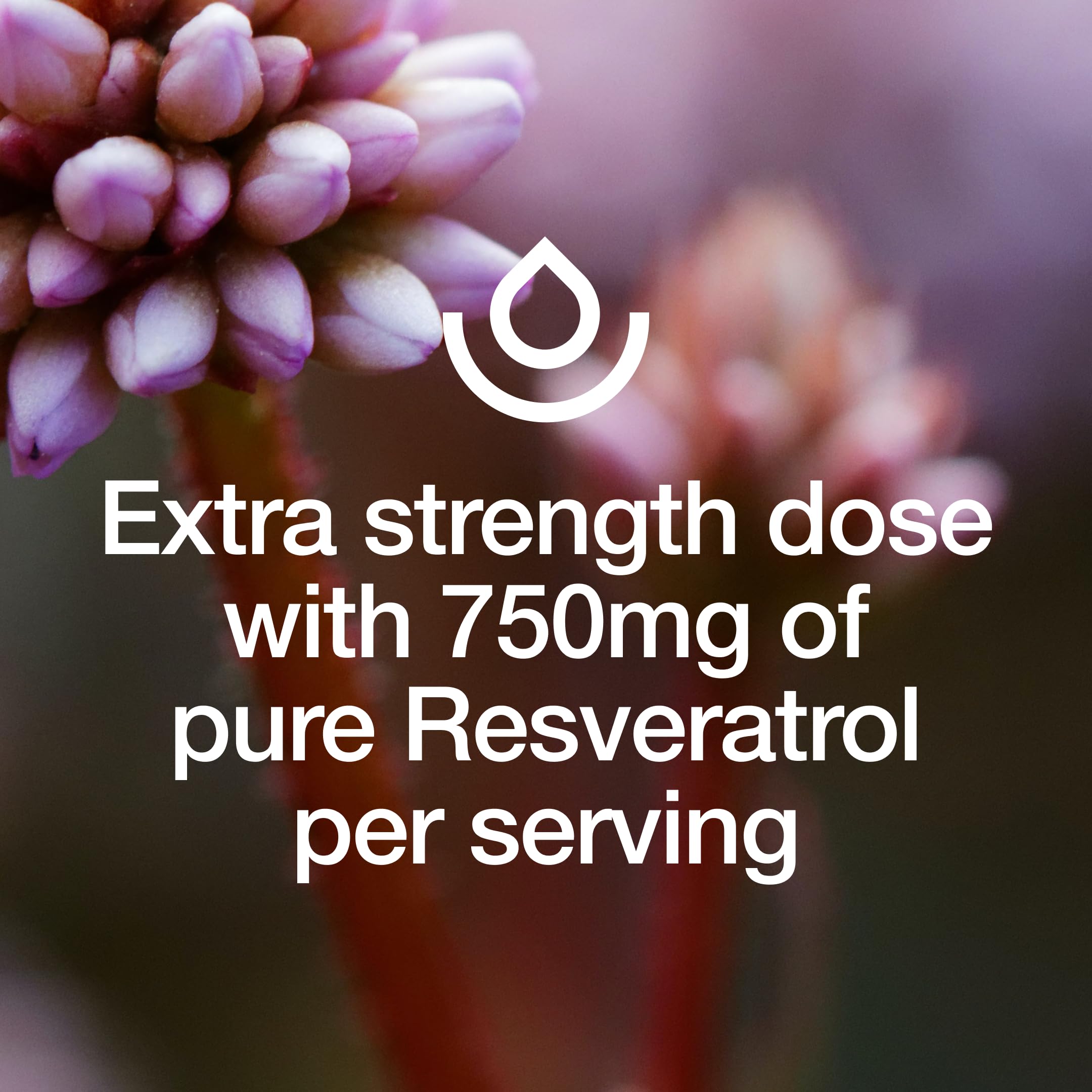 Fresh Nutrition Resveratrol packaging two bottles 90 capsules each