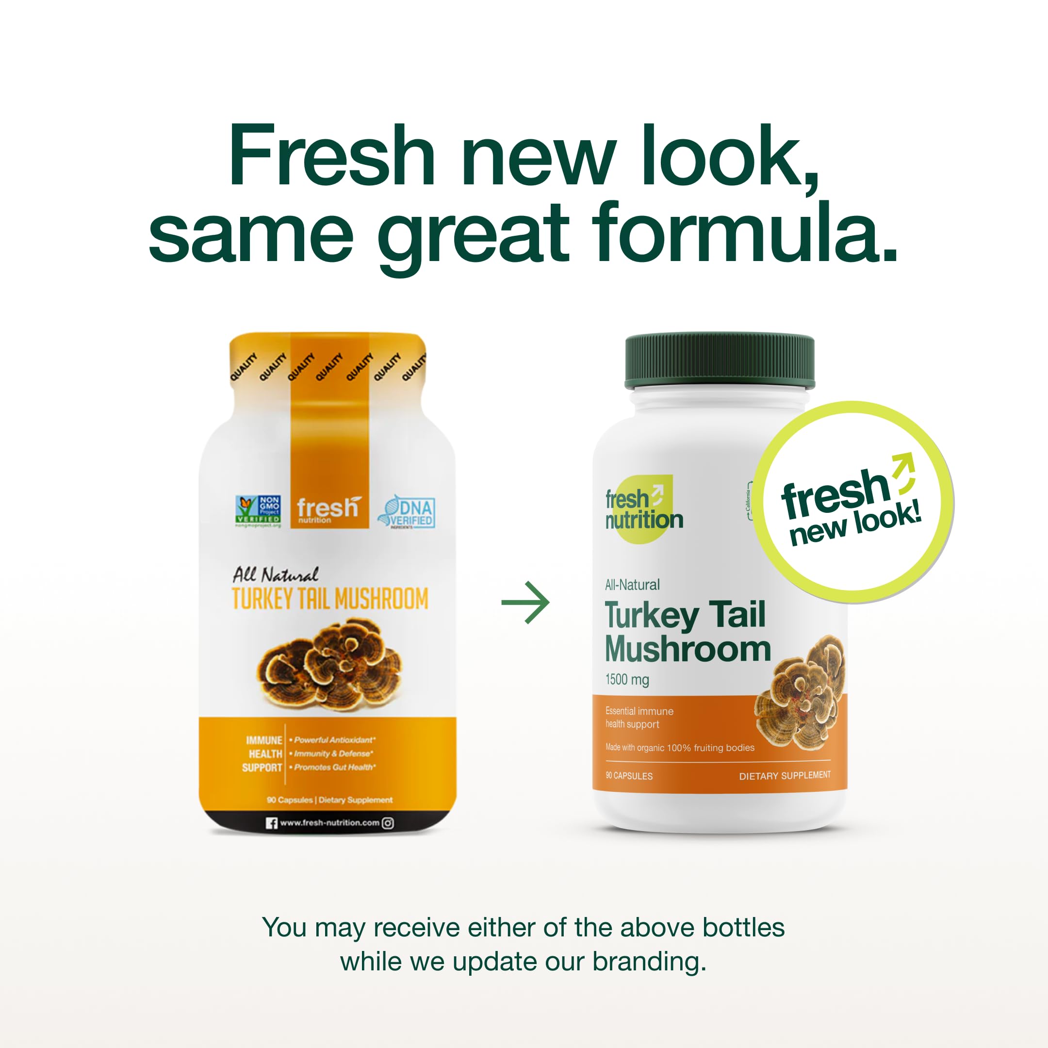 Fresh Nutrition turkey tail capsules close-up, vegan daily supplement