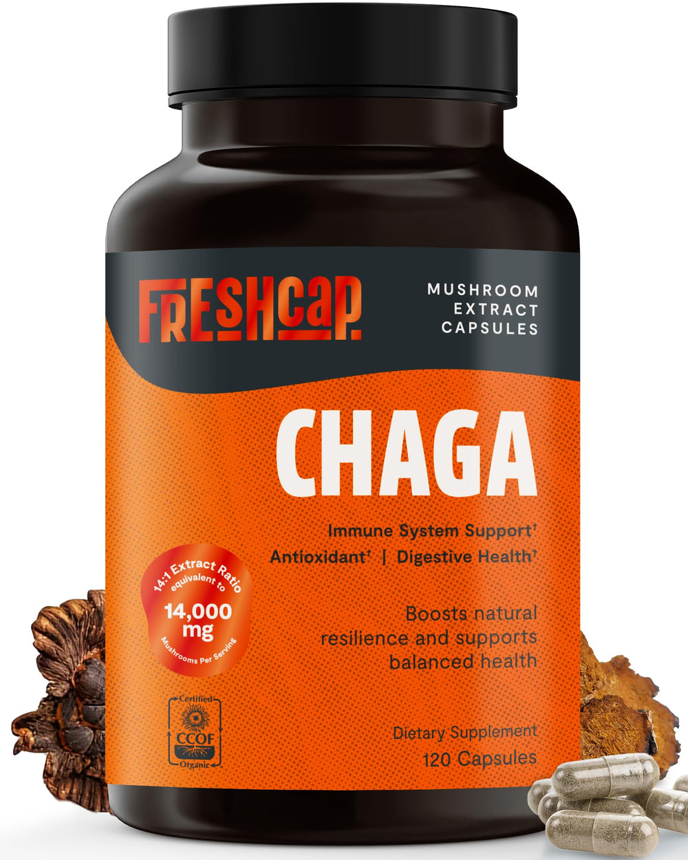FreshCap Chaga capsules bottle with label highlighting daily antioxidant support