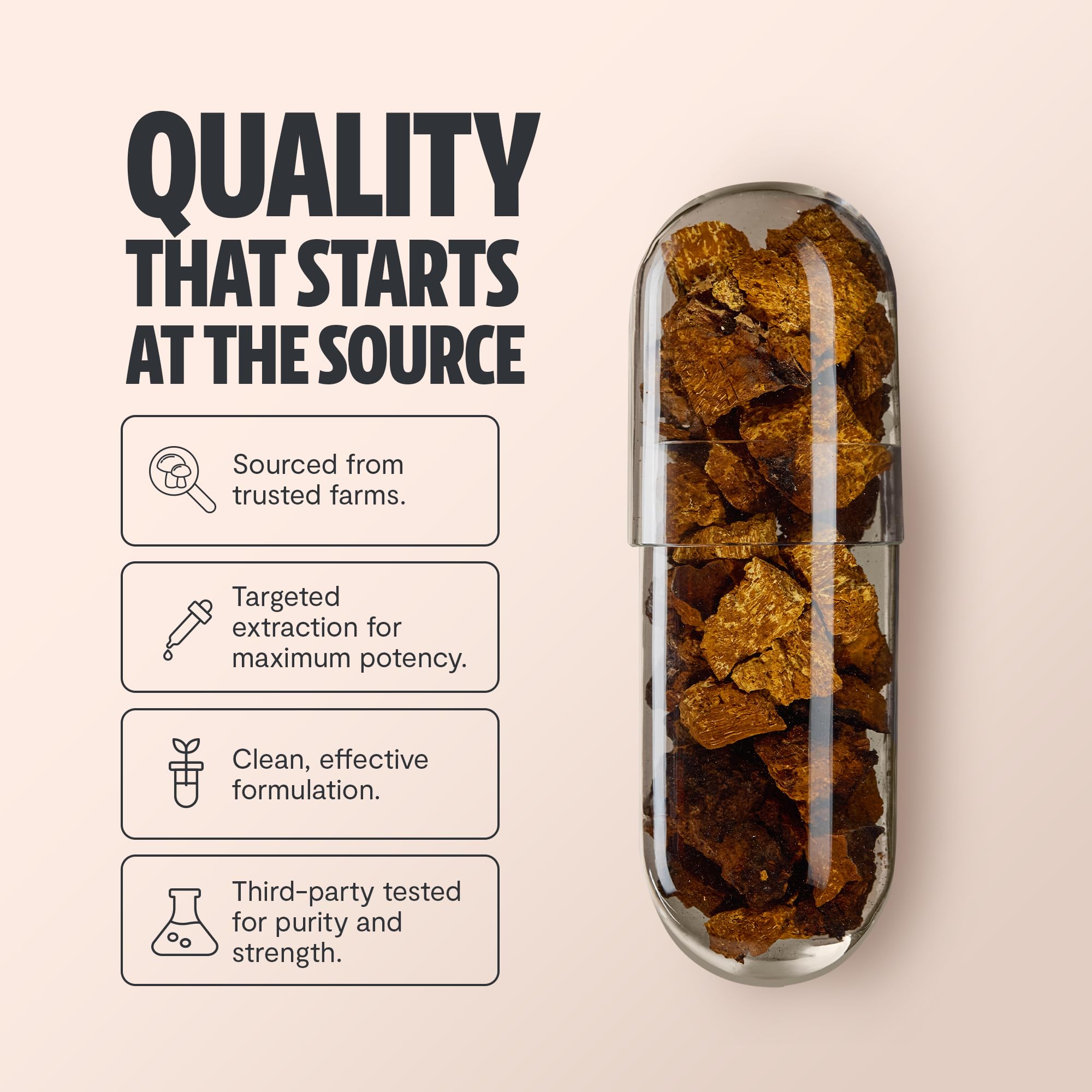 Close-up of FreshCap Chaga capsules showing dual-extracted potency