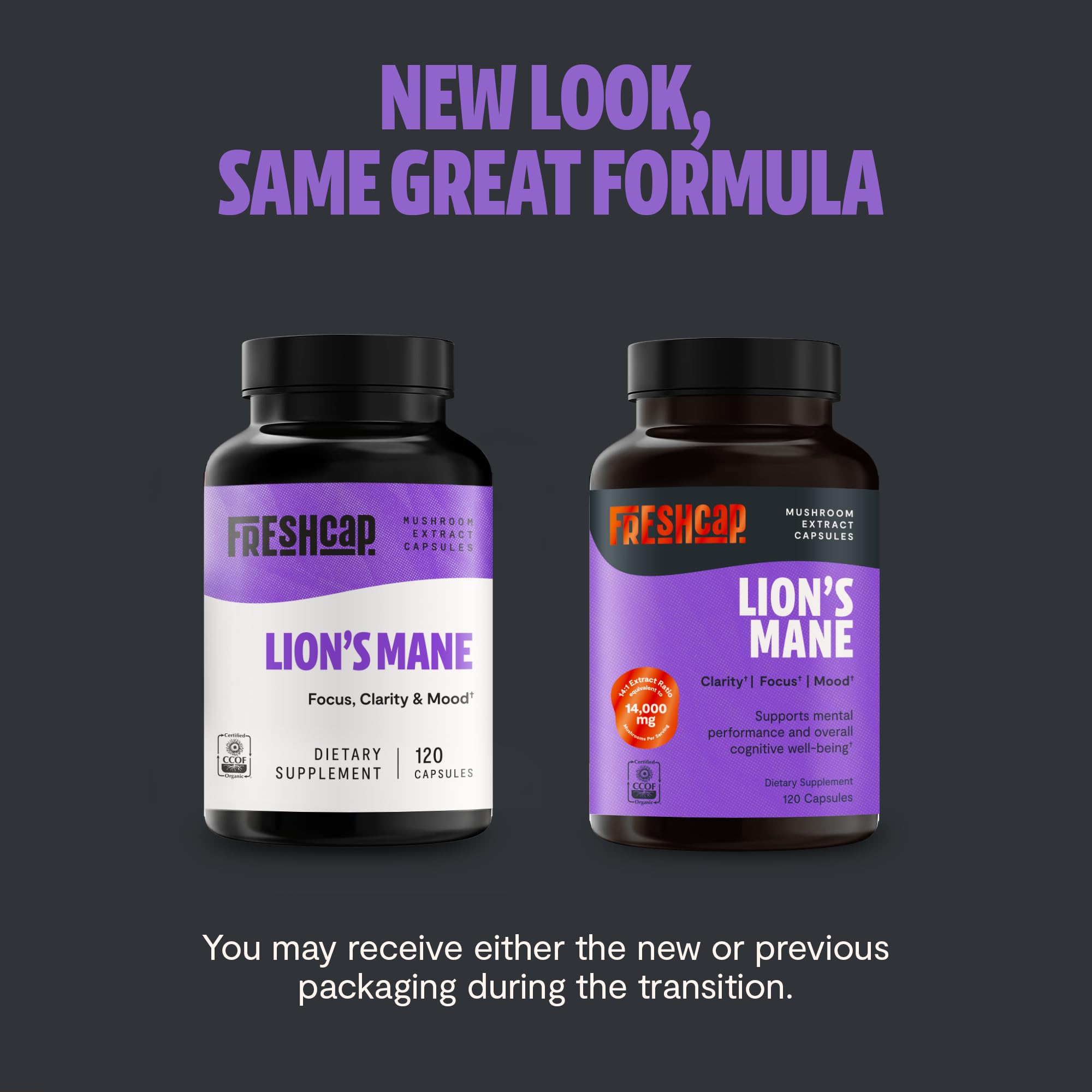 FreshCap Lions Mane capsules close-up, easy-to-swallow daily supplement.