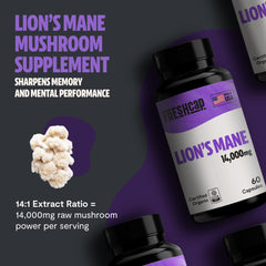 Close-up of organic Lions Mane mushroom powder highlighting triple-extraction
