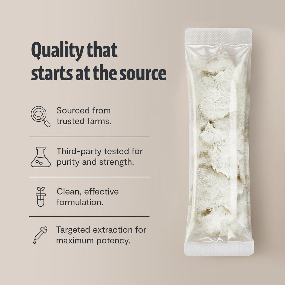 FreshCap Lions Mane powder with measured sticks for consistent daily dosing.