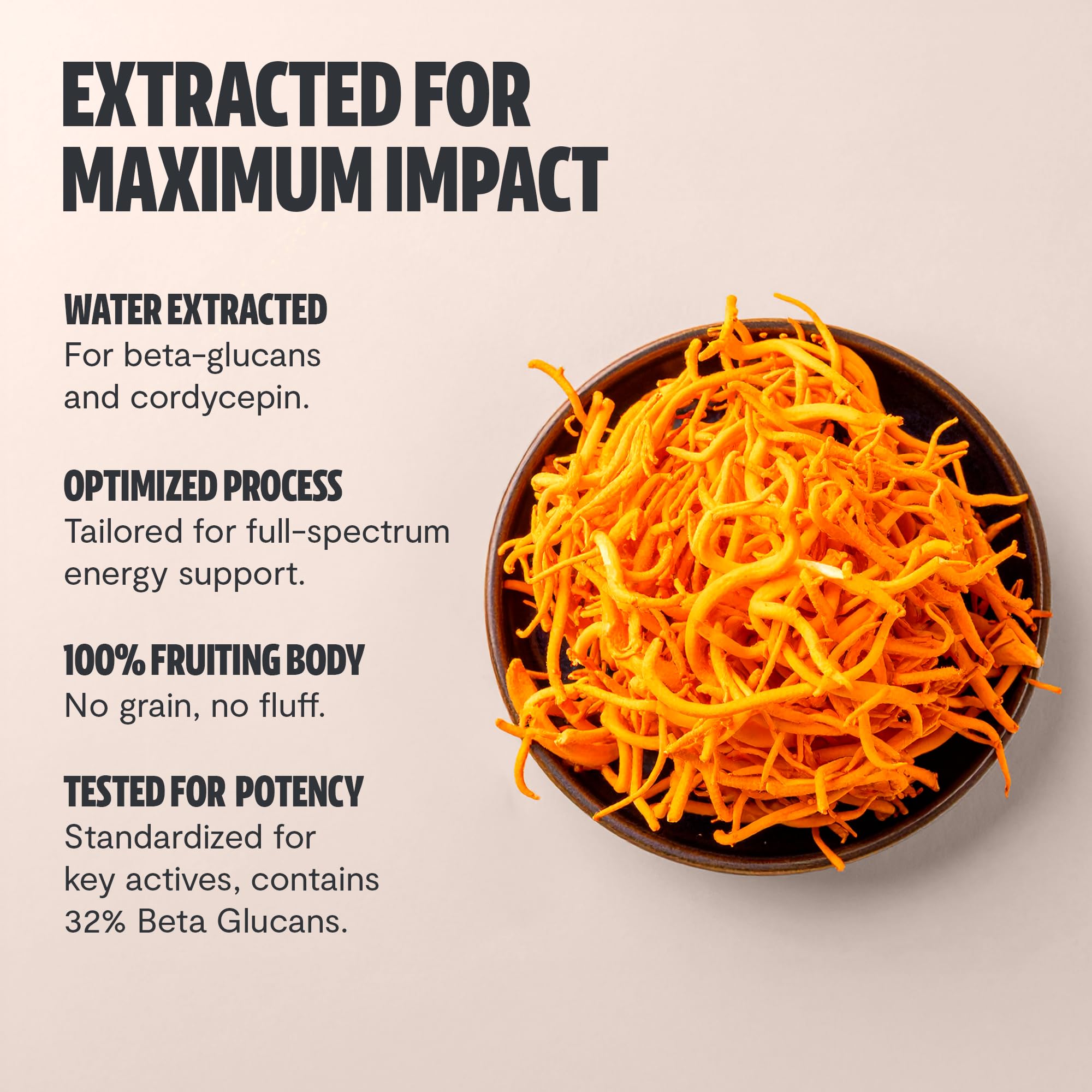 FreshCap Cordyceps capsules held in hand before workout