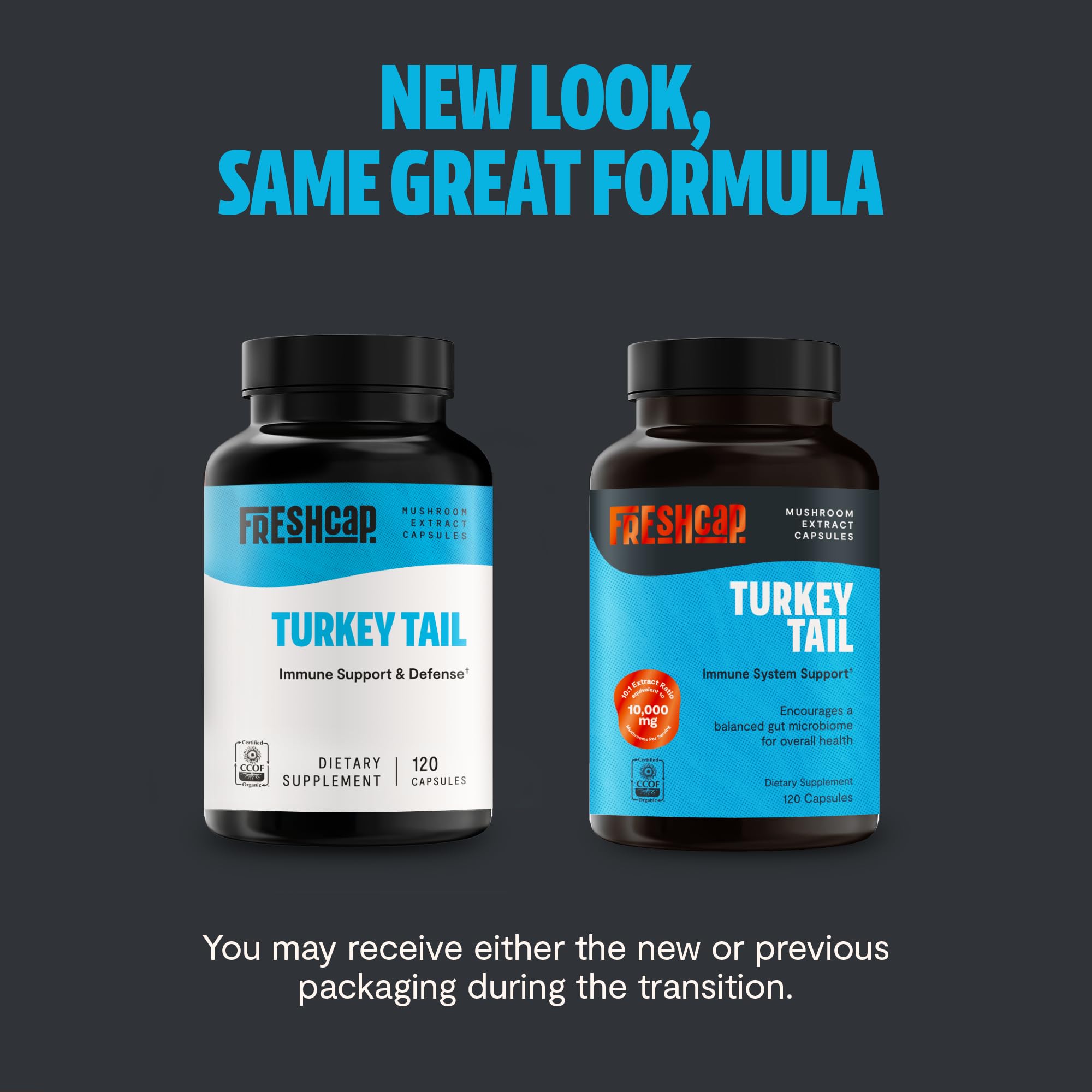 FreshCap Mushrooms Turkey Tail capsules close-up showing purity and potency.