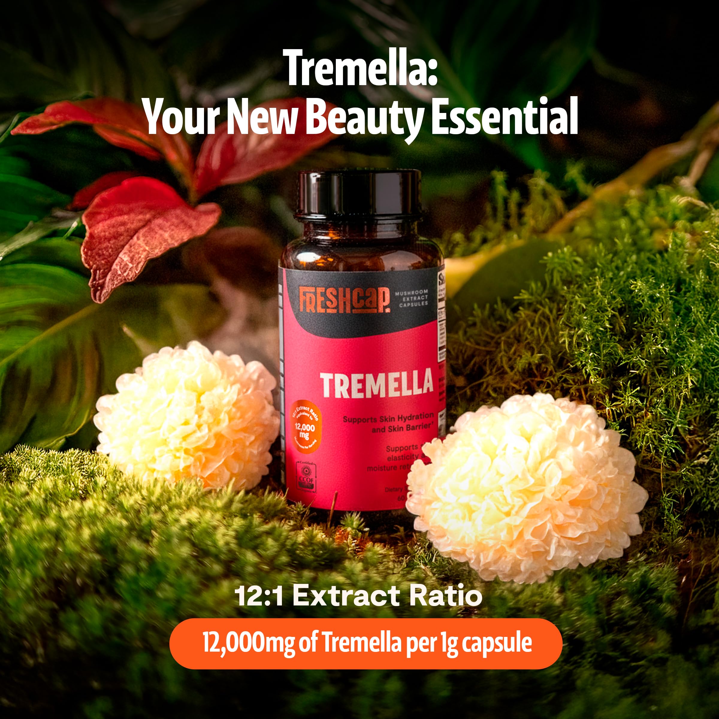 Closeup of FreshCap Tremella label highlighting 40% beta-glucans and potency.