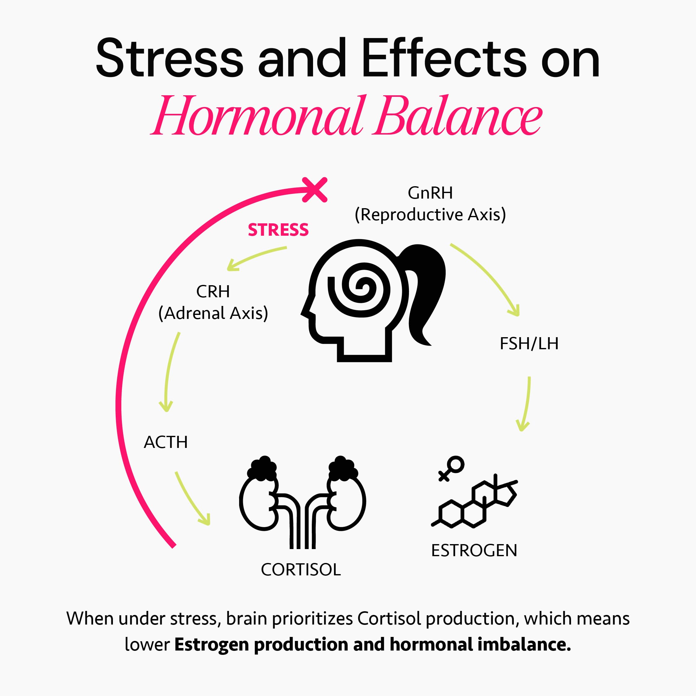 Freshly Moms Ayurvedic Hormone Balance brain fog relief visuals emphasize focus