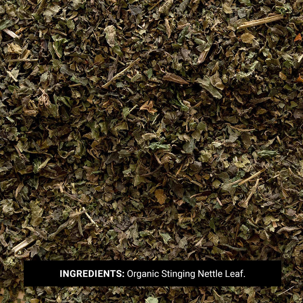 Frontier Co-op nettle tea brew in cup shows herbaceous aroma and subtle bitterness.