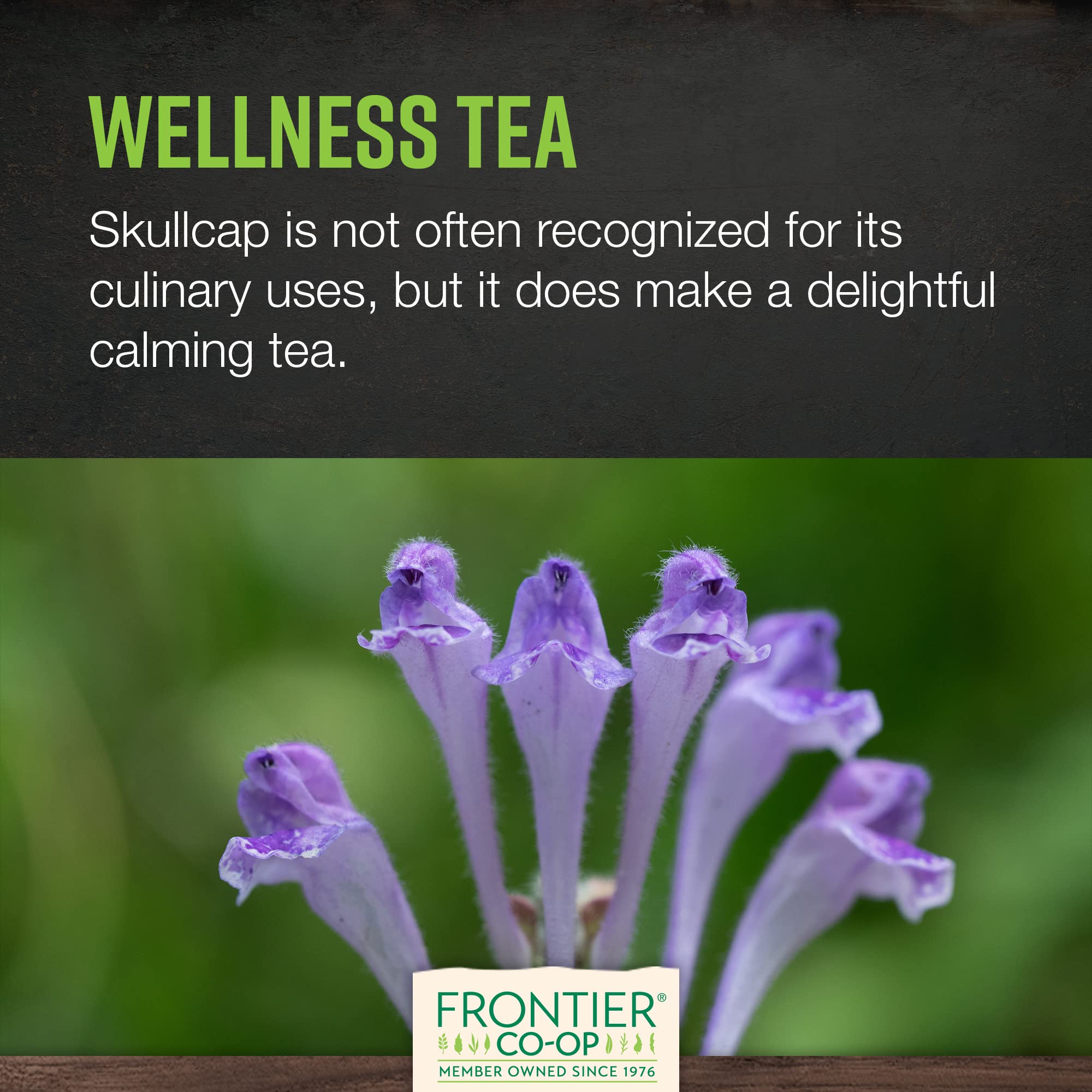Frontier Co-op Skullcap used in DIY capsules and herbal blends for daily calm.