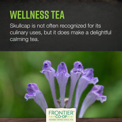 Frontier Co-op Skullcap used in DIY capsules and herbal blends for daily calm.