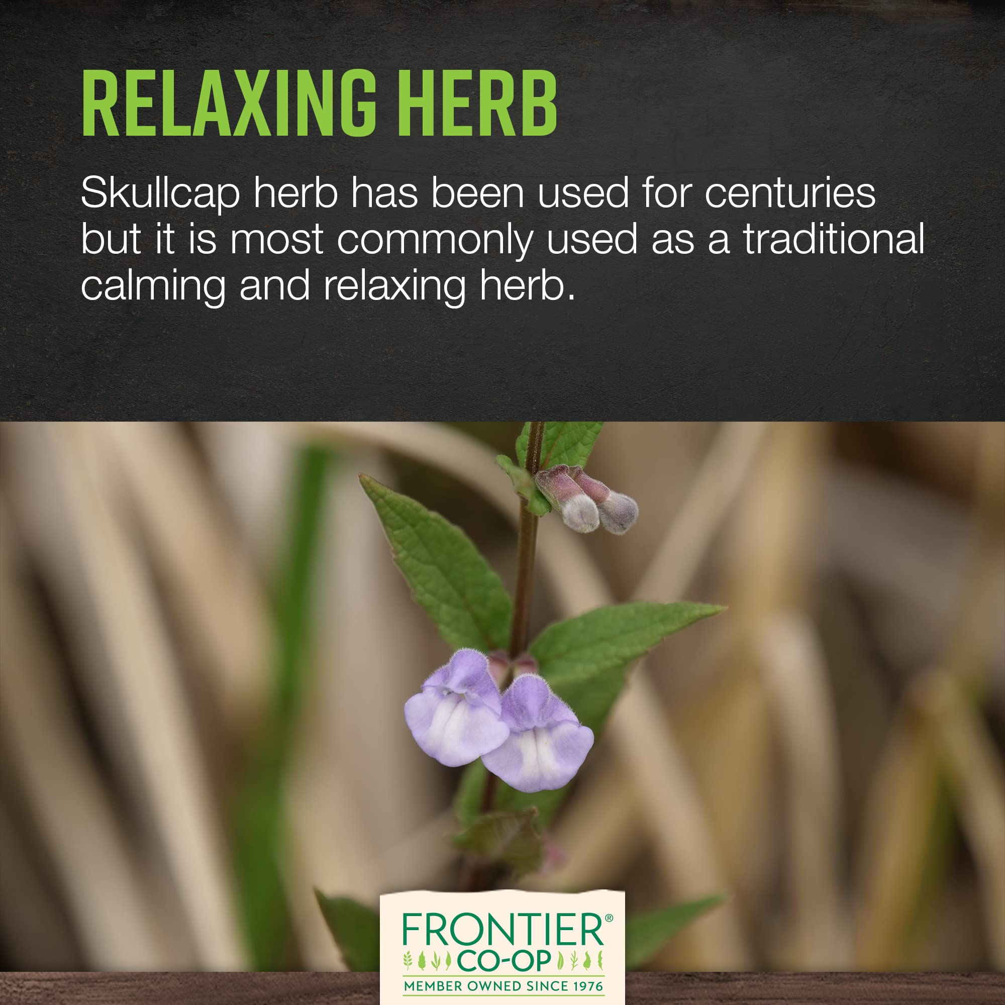 Frontier Co-op Skullcap sustainably grown in the United States for quality.