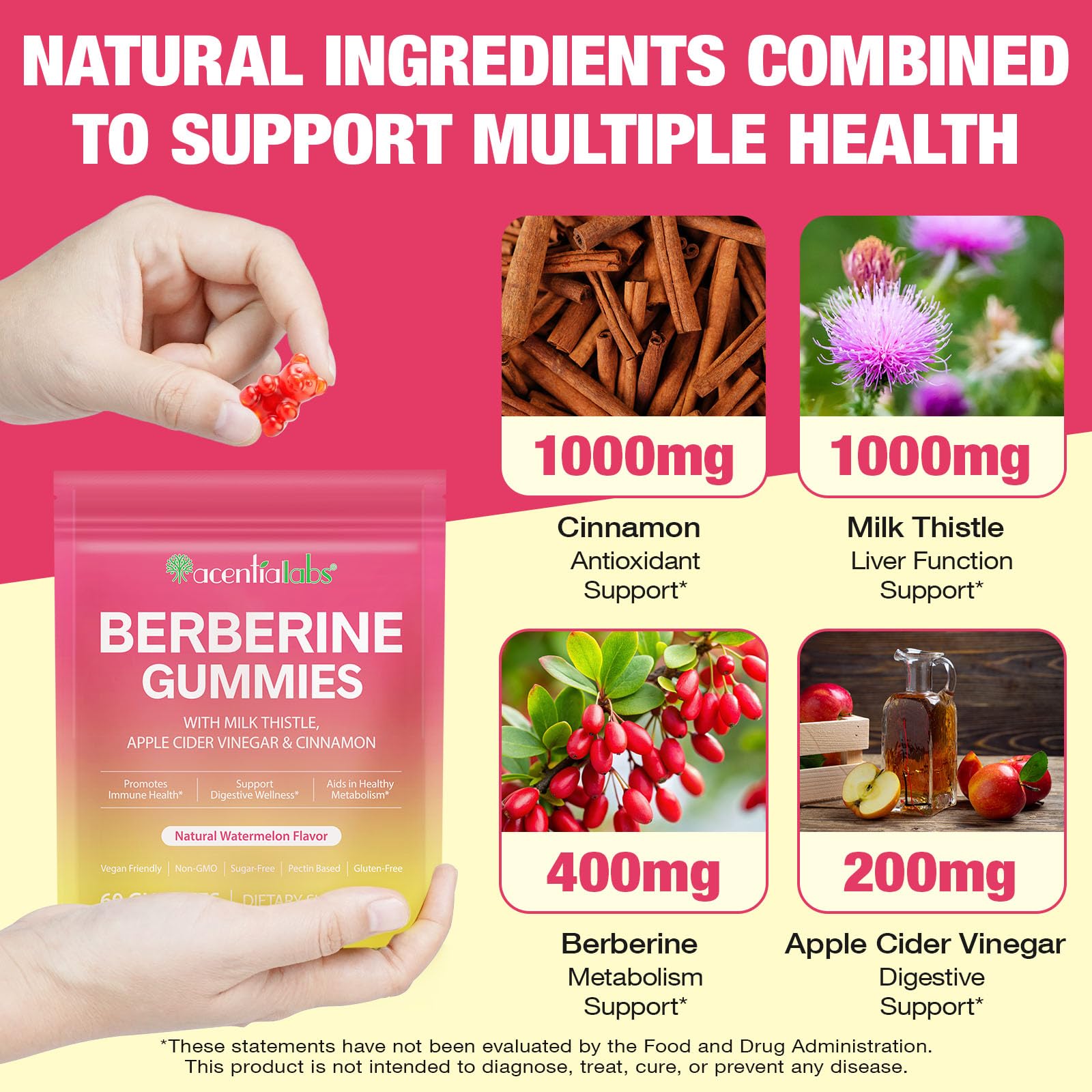 Frovetani Berberine Gummies ingredients showcase milk thistle for digestive balance