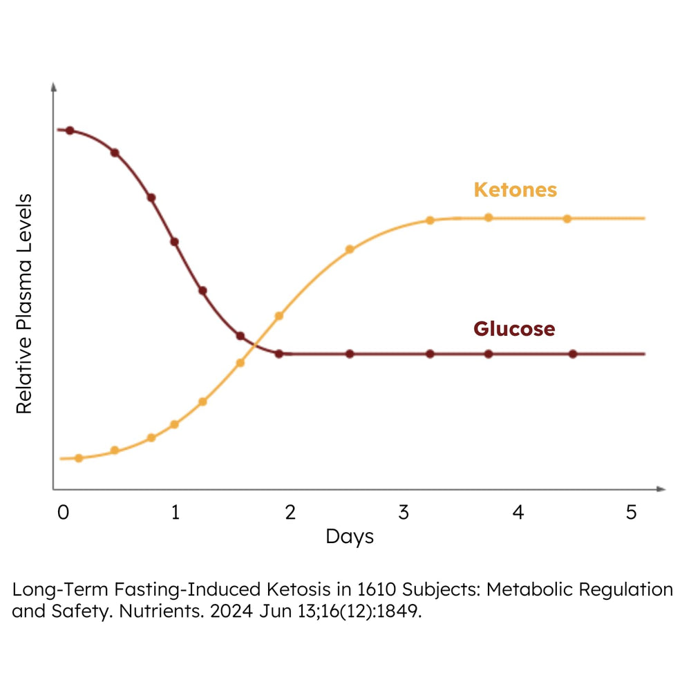 FSTN Chocolate Electrolytes zero-sugar label communicates sugar-free fasting support