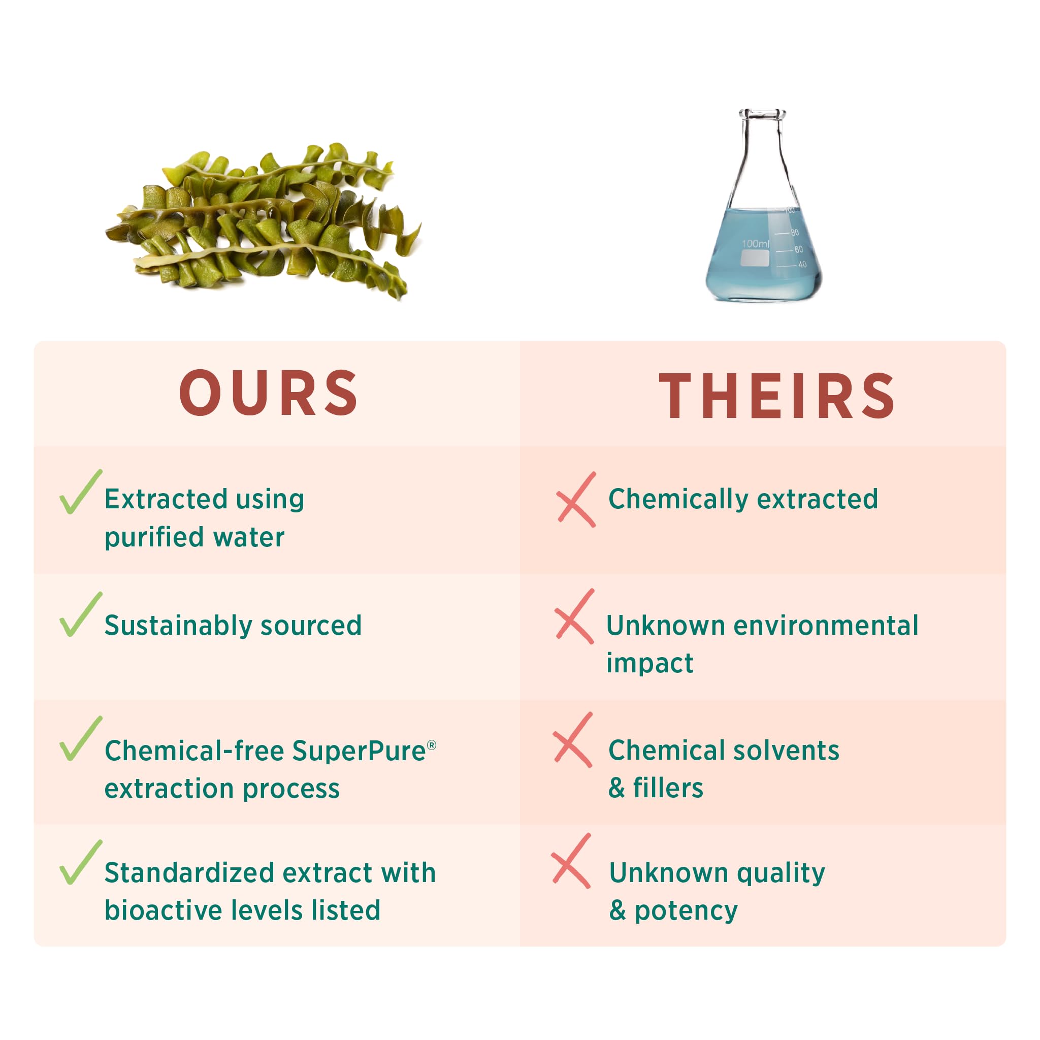 Fucoidan polysaccharides close-up highlighting bioactive compounds for daily balance.