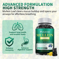 Ingredients panel showing mullein leaf extract and quercetin