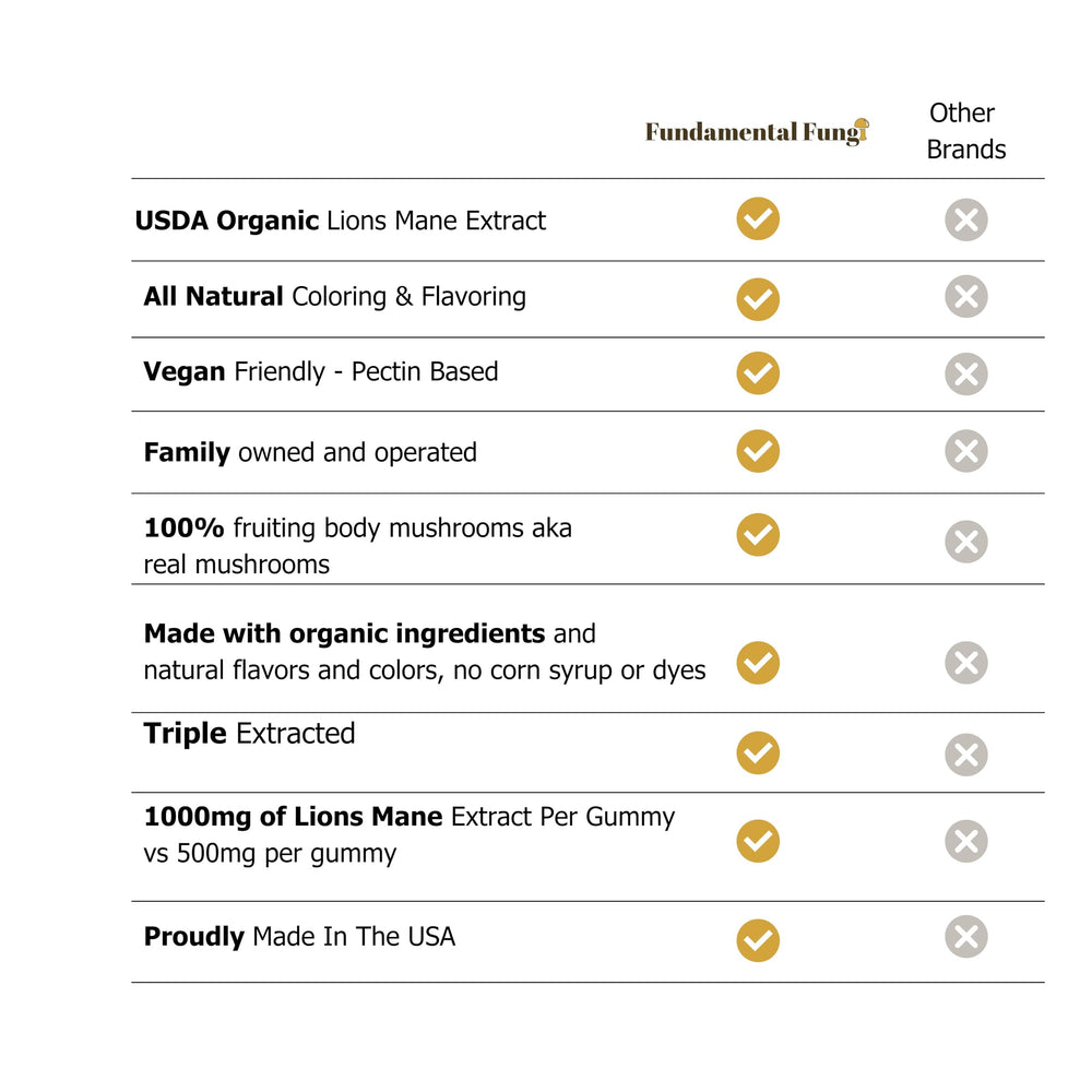 Fundamental Fungi Lions Mane gummies glass with servings suggesting easy daily intake