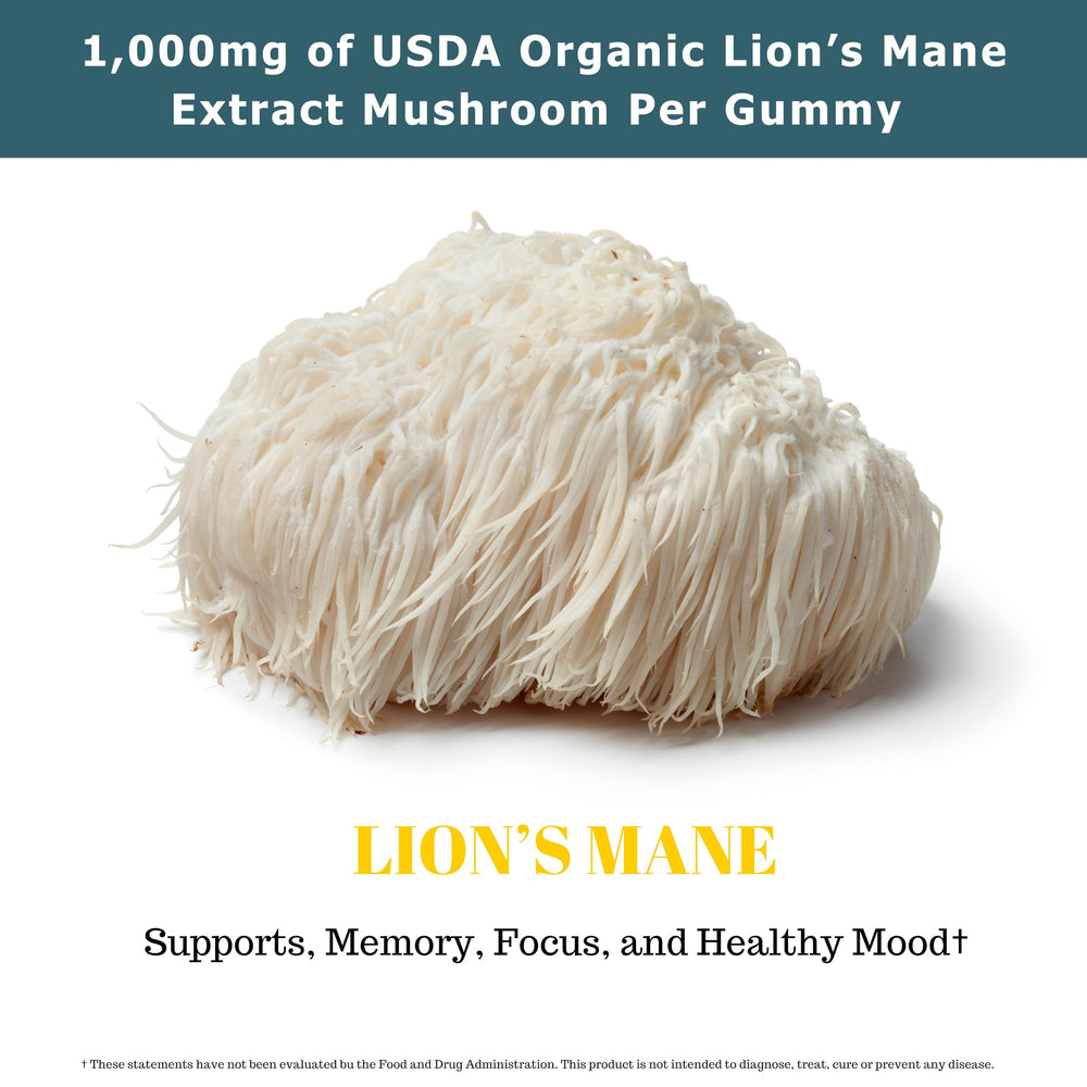 Fundamental Fungi Lions Mane gummies vegan ingredients for plant-based daily use