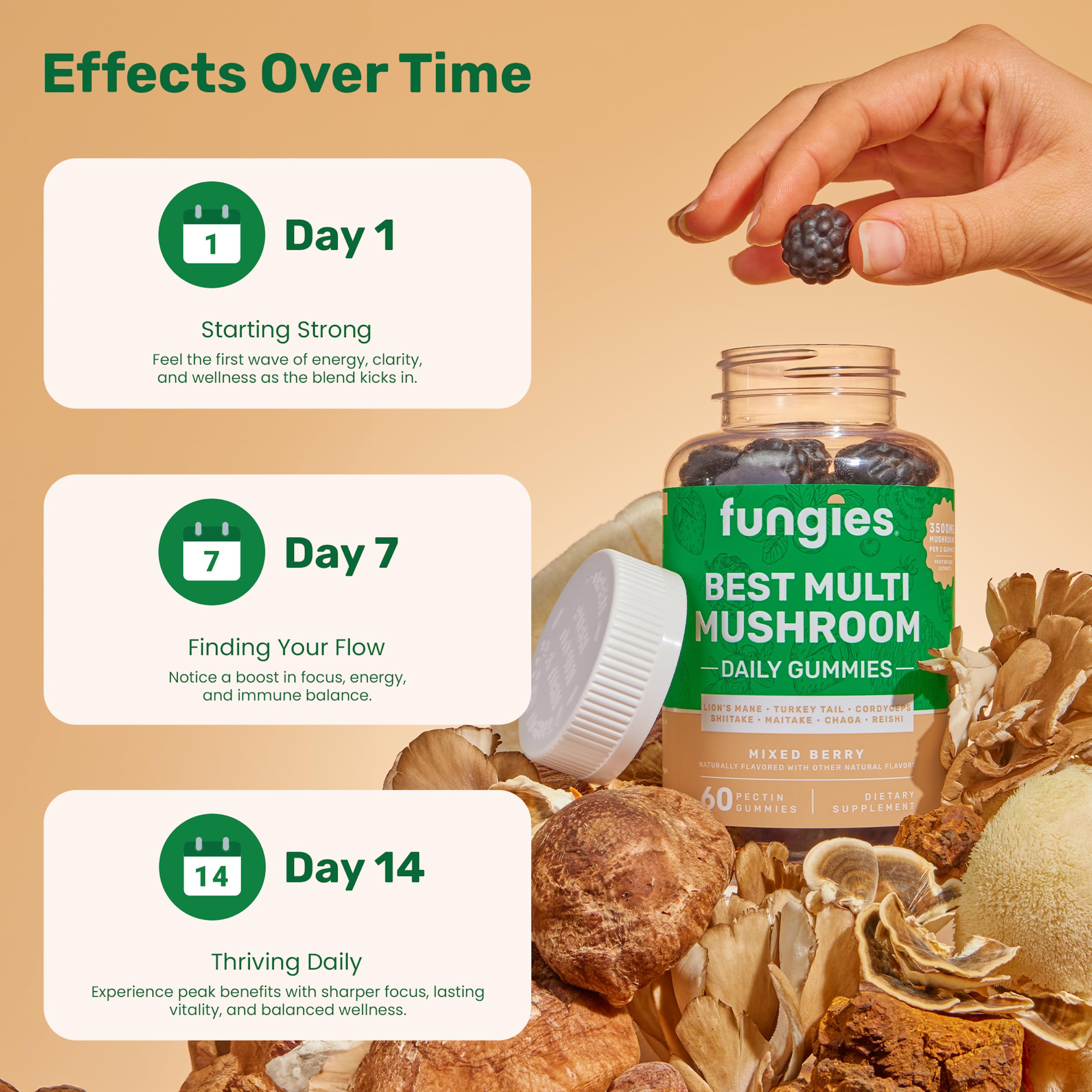 Gummies in hand showing Fungies as a convenient daily supplement for focus.