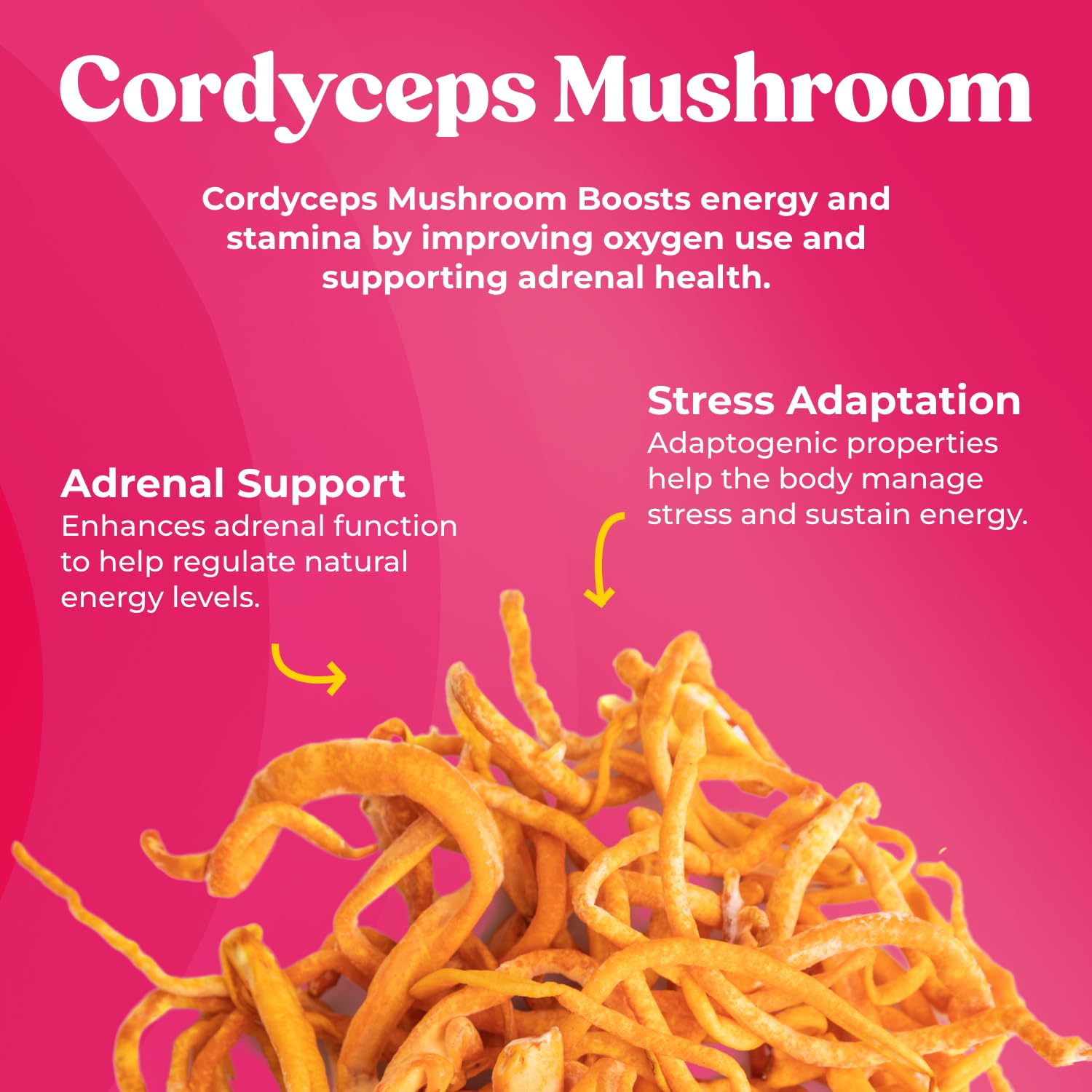 Fungiments Super Bouncy capsules close-up highlighting Cordyceps for vitality