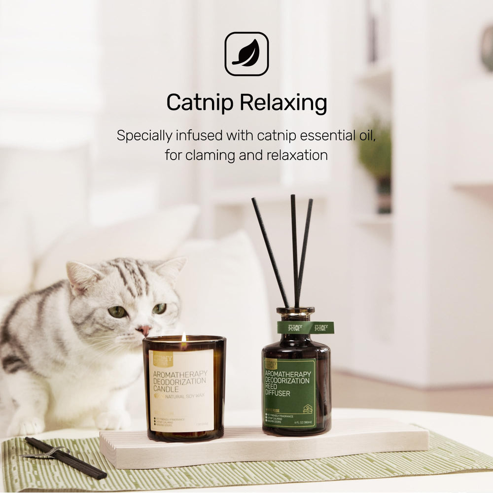 Catnip essential oil note adds calming vibes for people and pets