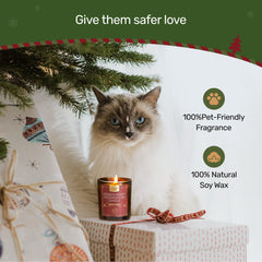 FURRYPURR gift packaging ready for Christmas gifting.
