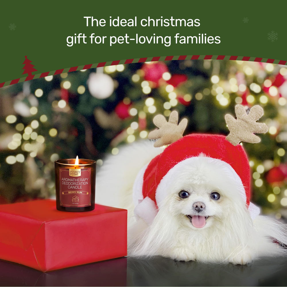 IFRA-certified, pet-friendly candle designed for households with pets.