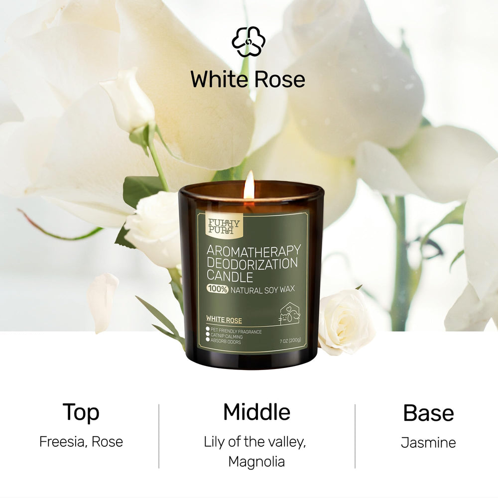 FURRYPURR pet-friendly soy candle in a glass jar with clean burn
