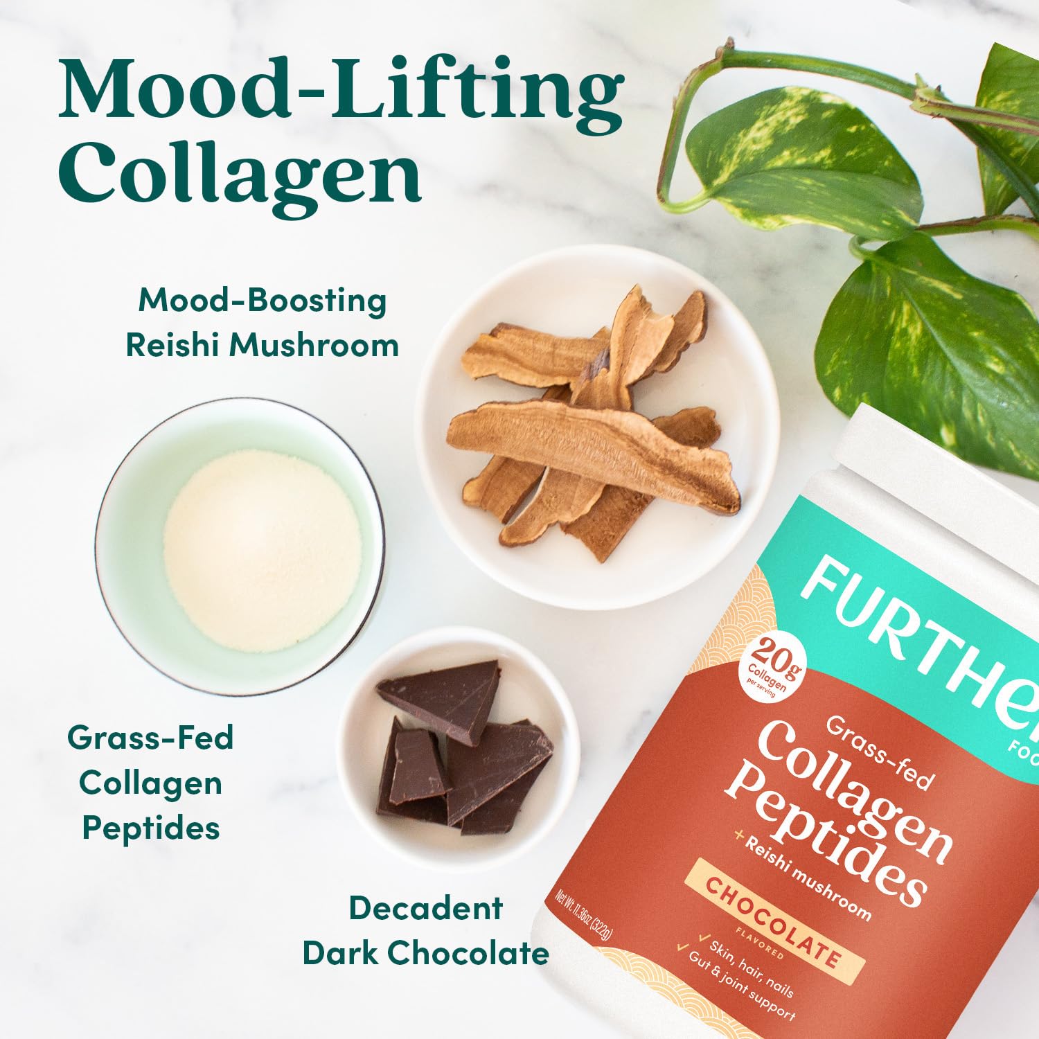 Further Food Chocolate Collagen with dark chocolate drizzle enhancing a shake.