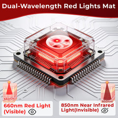 fyovuv red light therapy belt close-up reveals 60 LEDs for full coverage