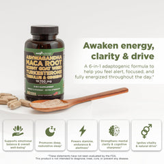 GADE NUTRITION Ashwagandha capsules closeup supports focus and resilience