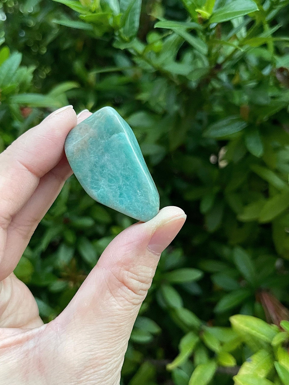 GAF TREASURES amazonite polished rocks arranged for display