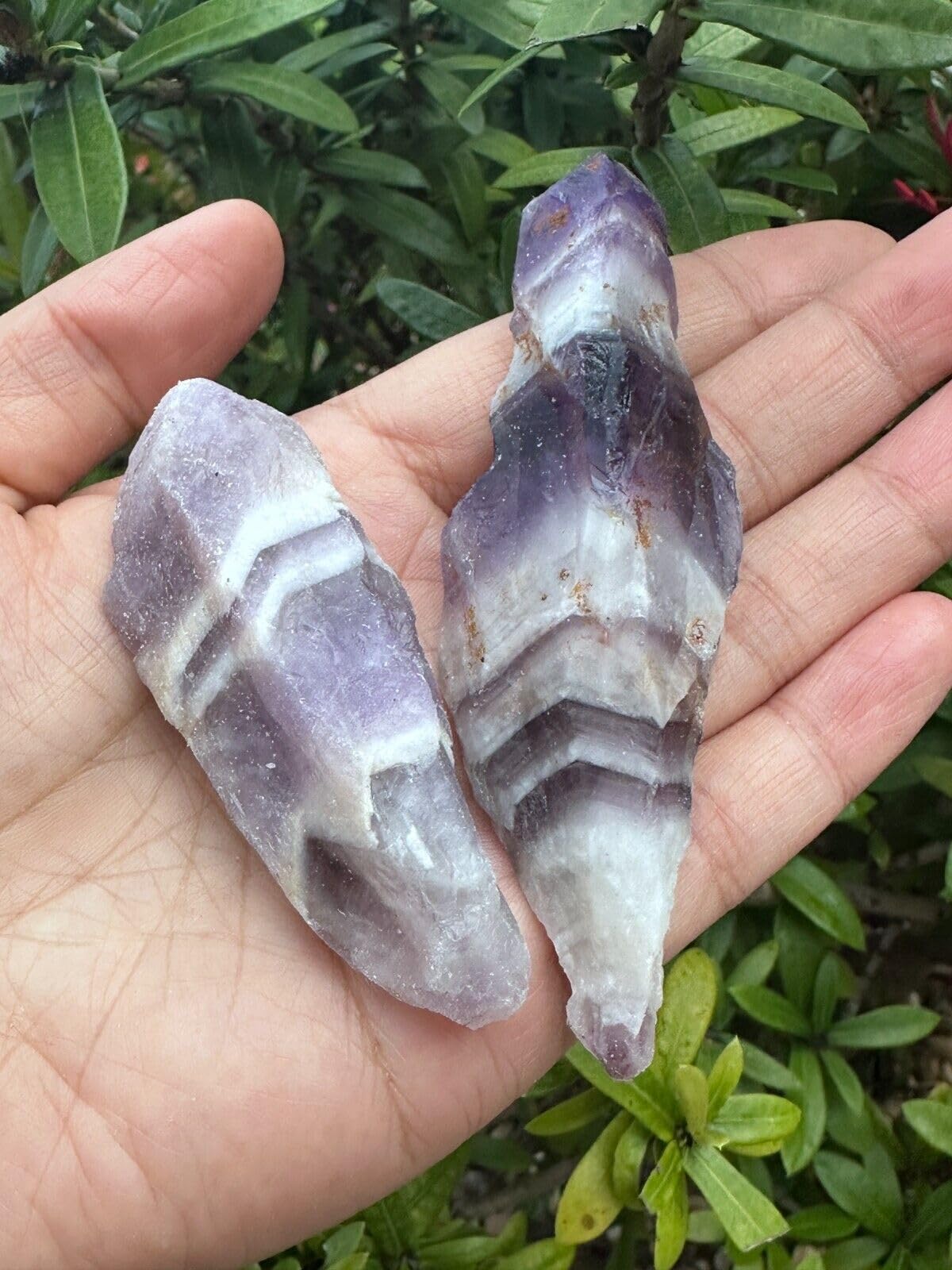 GAF TREASURES Amethyst rough stone may arrive with a light dust layer from natural origin