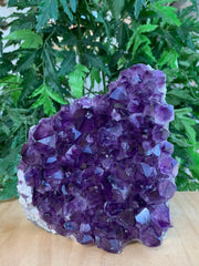 GAF TREASURES amethyst geode Uruguay highlight natural beauty and elegant shelf presence