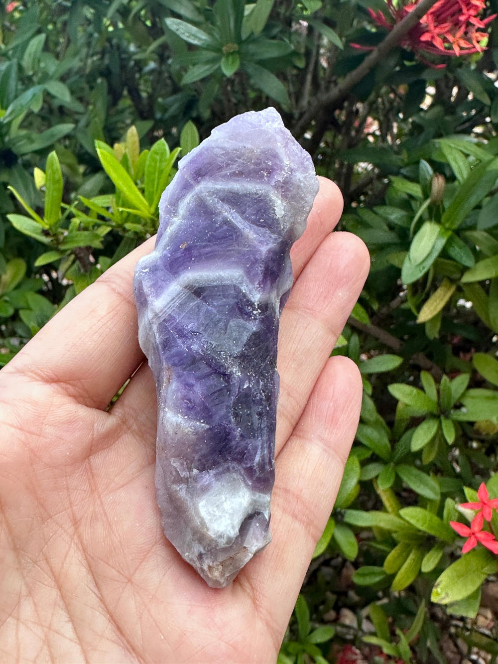 GAF TREASURES Amethyst rough lapidary-ready stone for shaping and polishing sessions