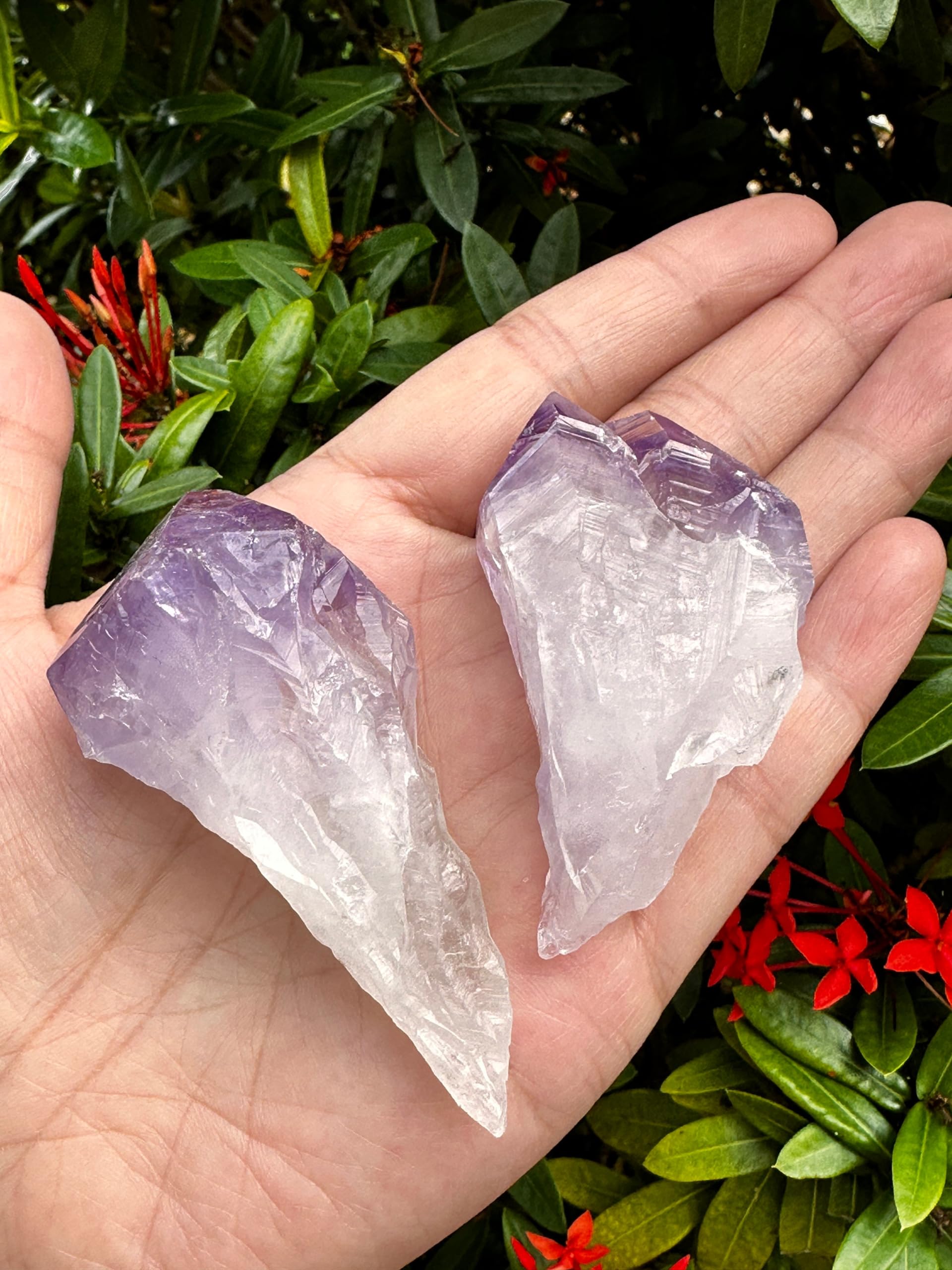 GAF TREASURES wholesale amethyst points in bulk packaging for sellers.
