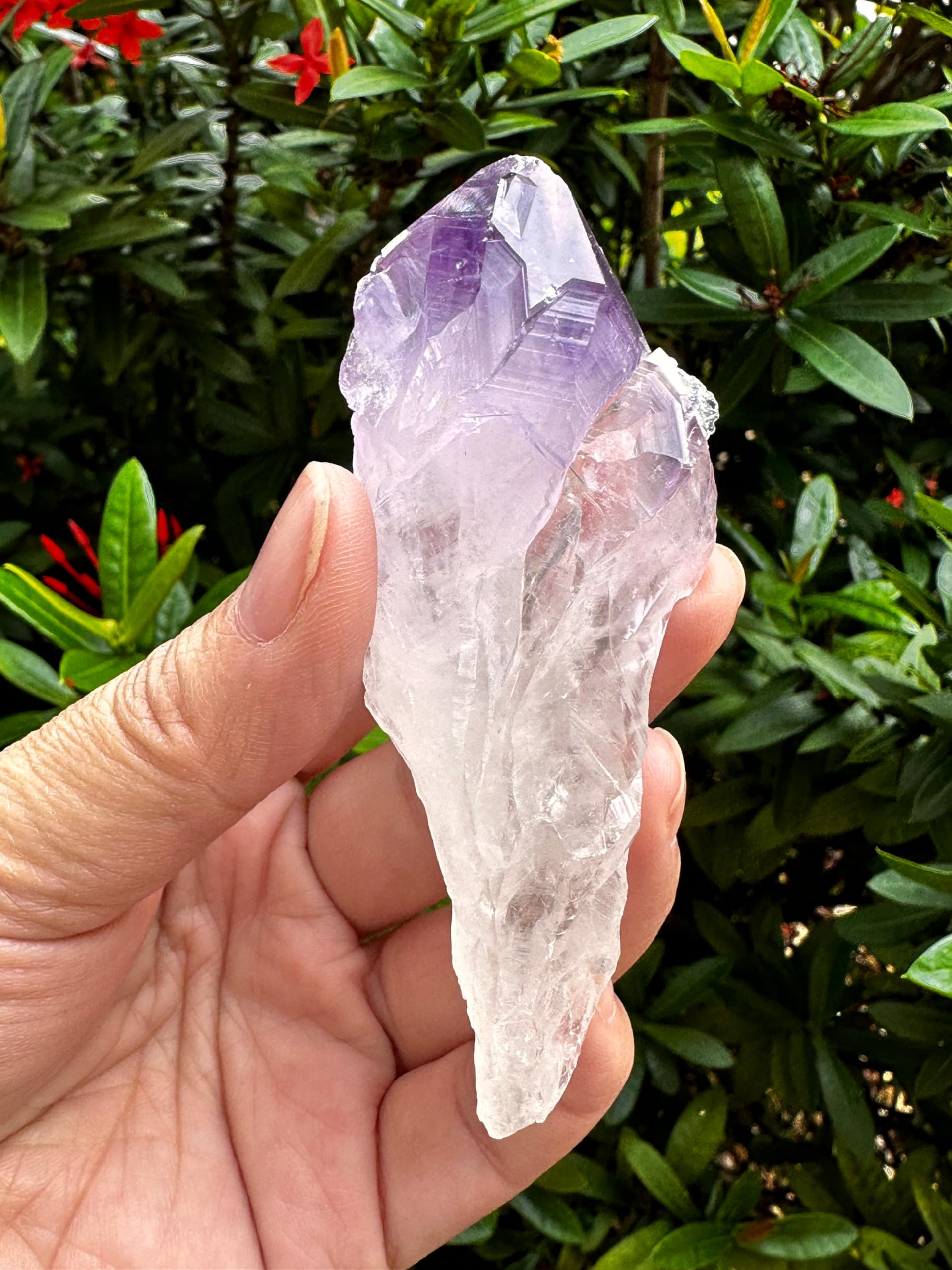 GAF TREASURES amethyst points rough 2-3 inch, ideal for meditation and energy work.