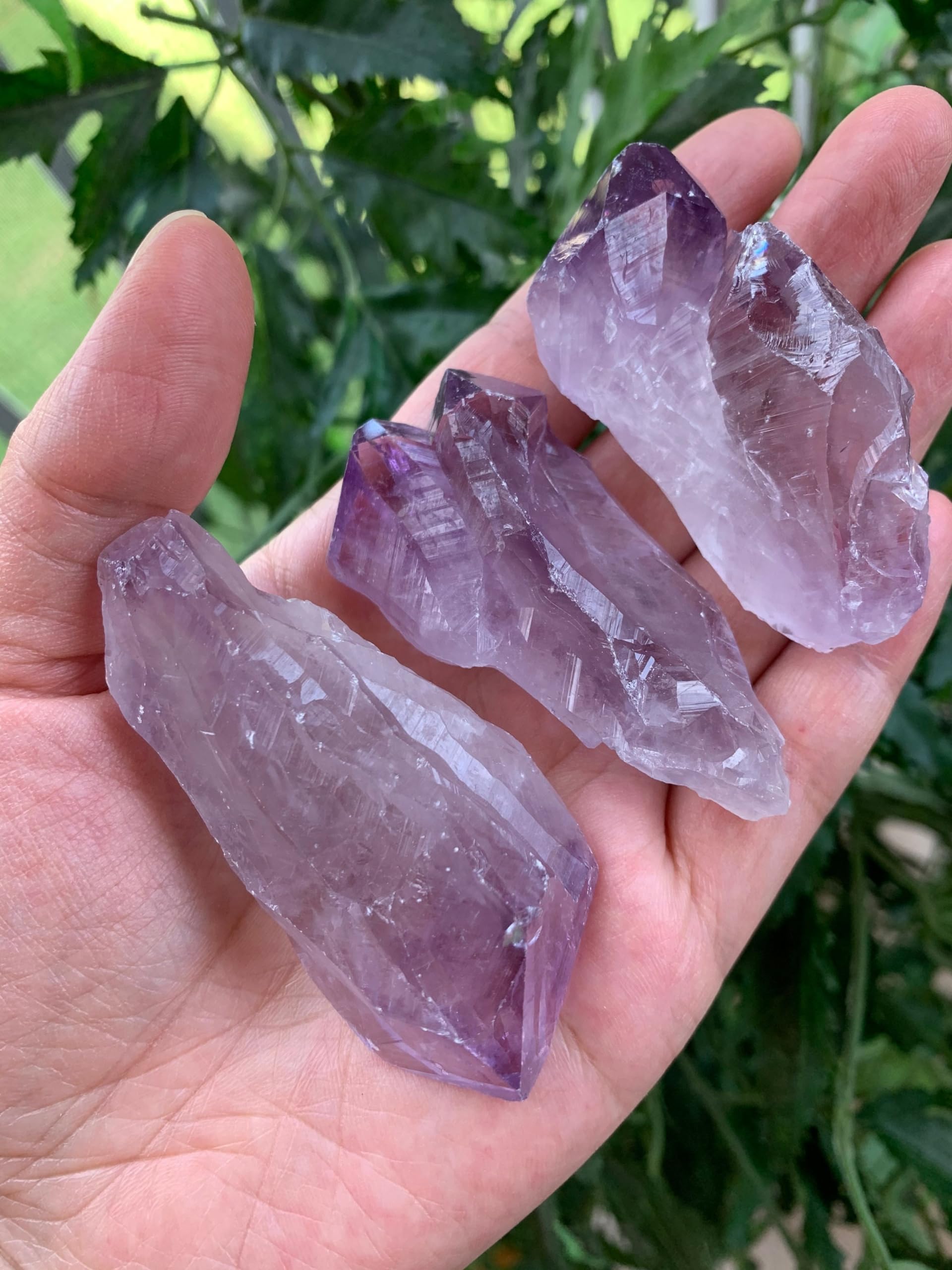 GAF TREASURES amethyst points close-up with vibrant facets for focus.